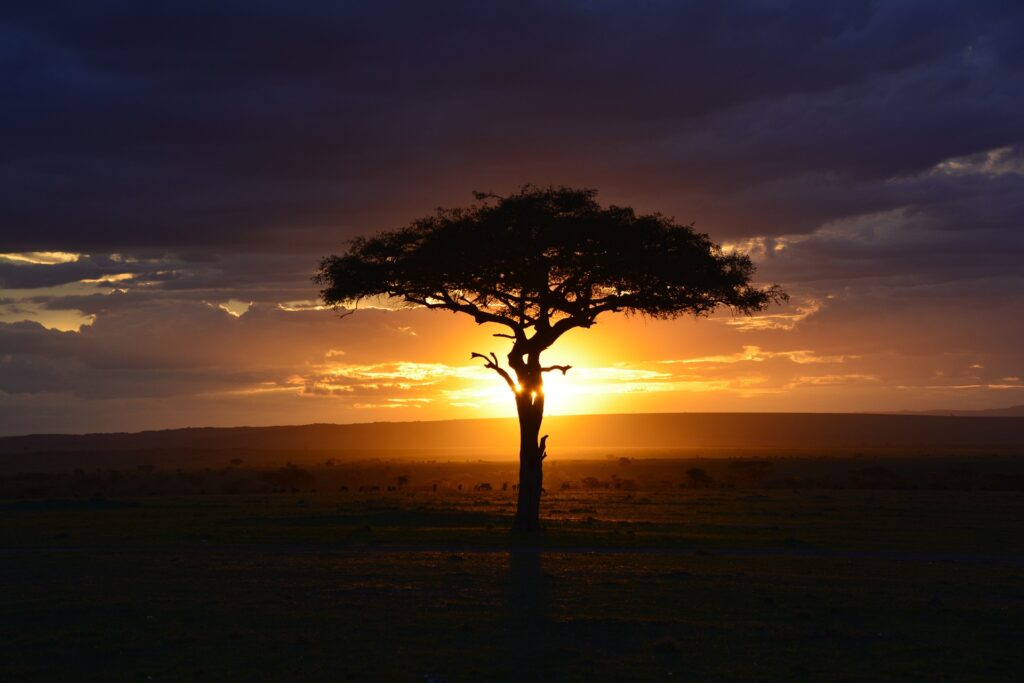 Kenia