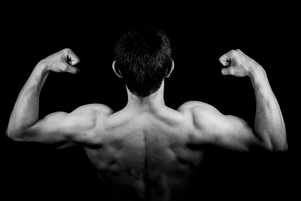 Musculos
