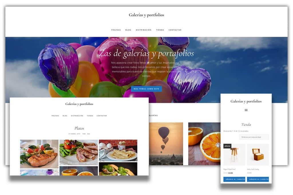 Galerías y portfolios