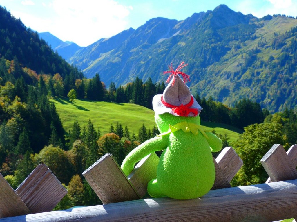 Rana en la montaña