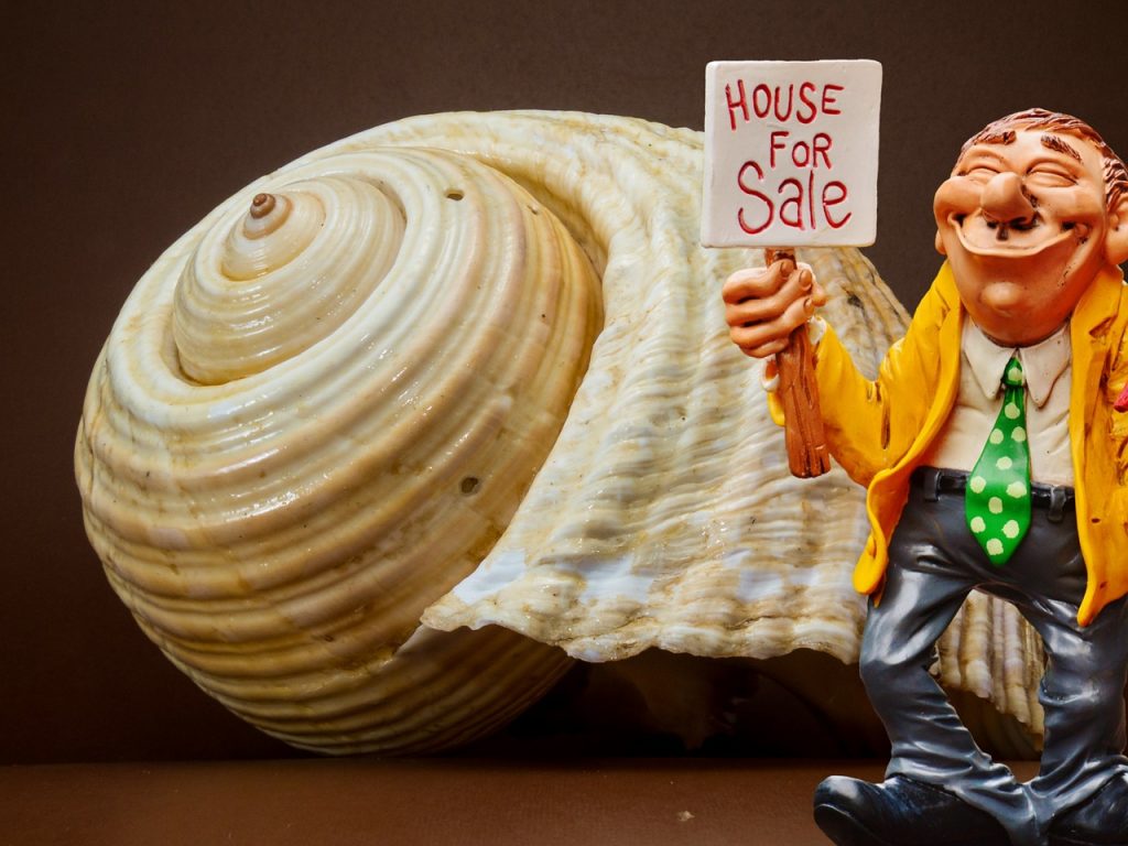 Agente de venta