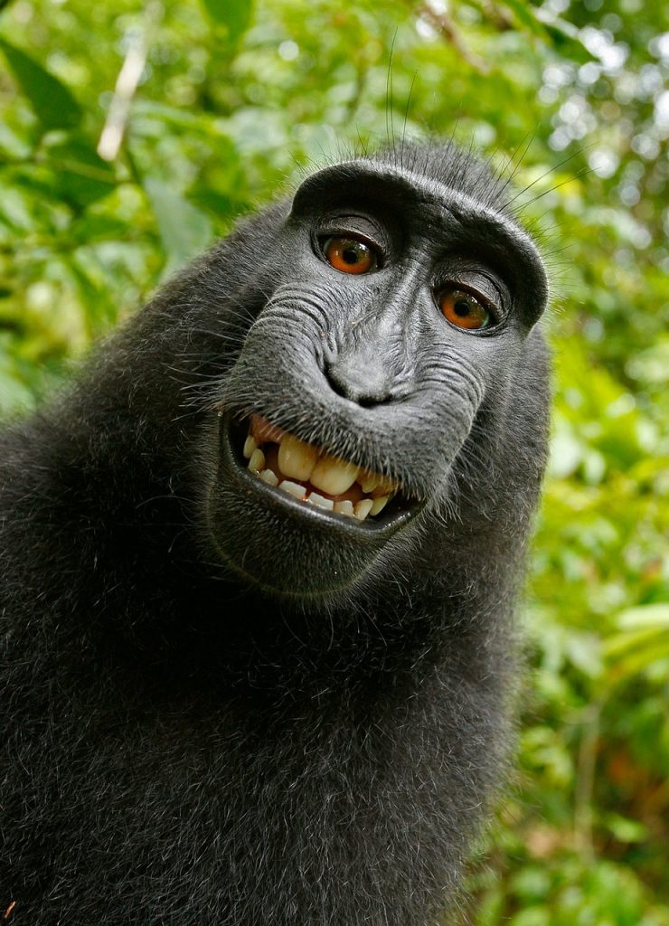 Sonrisa