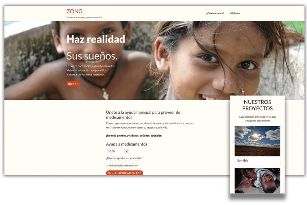 Ong con plugin de donaciones